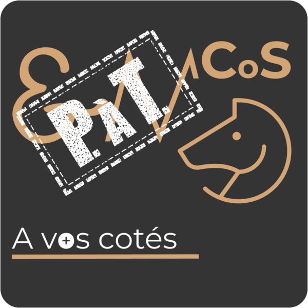 Logo format PàT Bras droit externalisé Emmanuel Matt Accompagnement